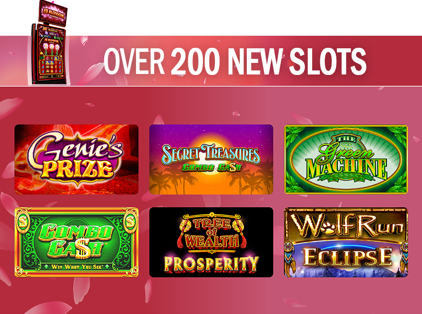 Over 200 New Slots