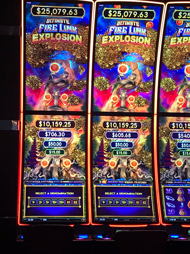 5 Shark Slots Gamblers Need to Try - Lucky Catch and More