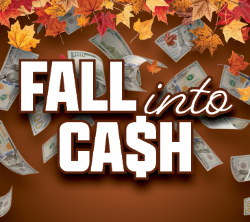 Fall into Cash