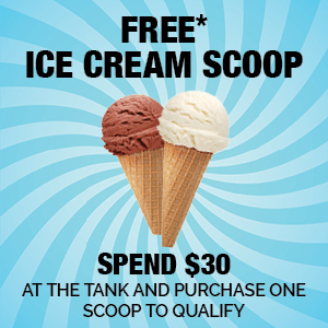 Free Ice Cream Scoop
