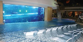 Pool at the Golden Nugget