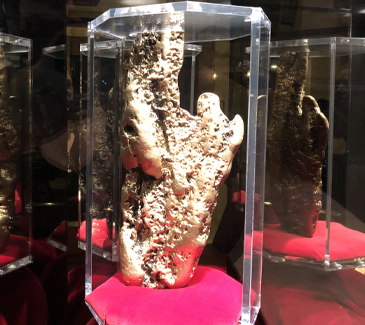Hand of Faith
