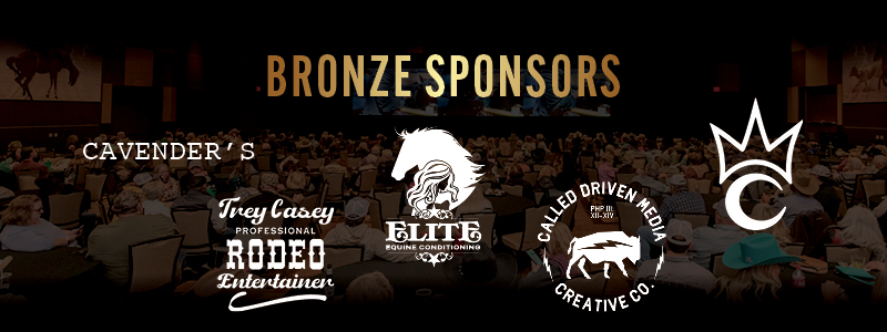 Bronze Sponsors