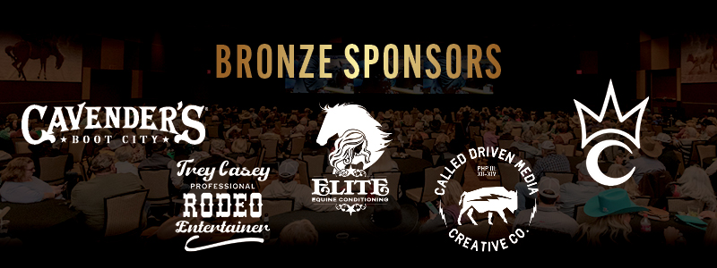 Bronze Sponsors