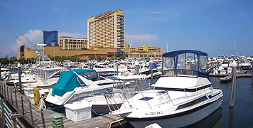 Marina Dock Shot