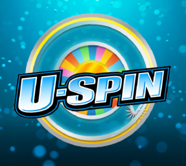 U-Spin
