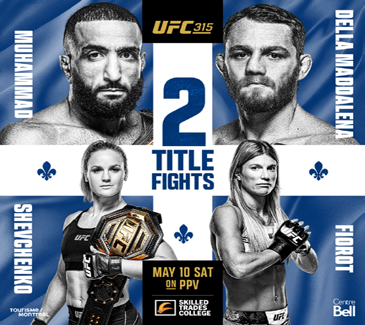 UFC 315 Art