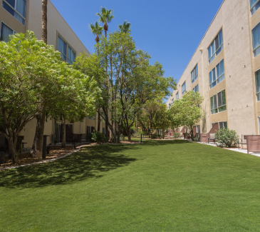 Pet Friendly Laughlin Hotel Pet Friendly Laughlin Hotel