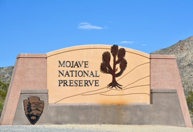 mohave_national_preserve.png