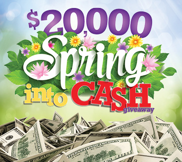 spring into cash